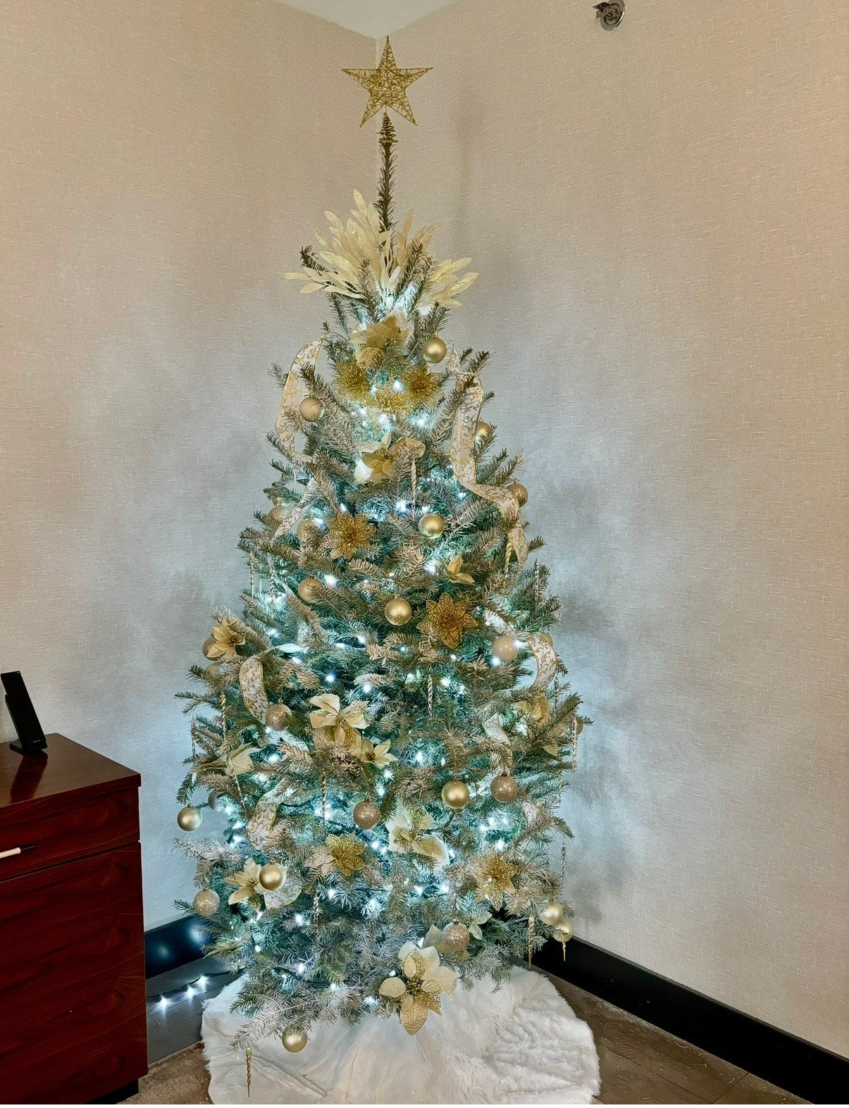 Fresh Christmas Tree Delivery 🎄