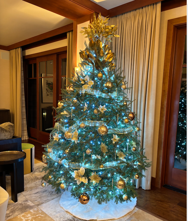 🎄 Fresh Christmas Tree Delivery 🎄